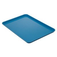 Blue Fiberglass Platter/Tray